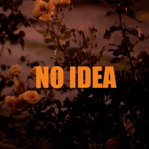 收听Walk.Erjoin的No Idea歌词歌曲