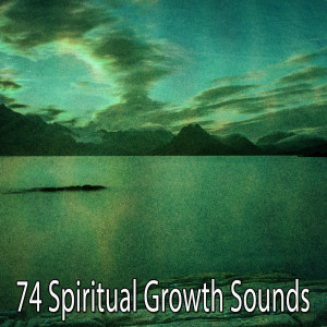 Listen to Critical Thinking song with lyrics from Yoga Music