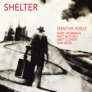 Sebastian Noelle的專輯Shelter