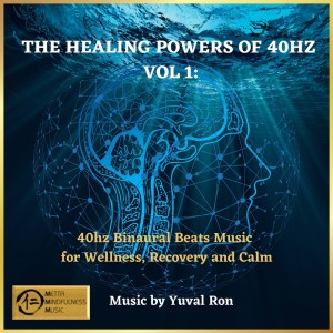 Album The Healing Power Of 40 Hz from Yuval Ron