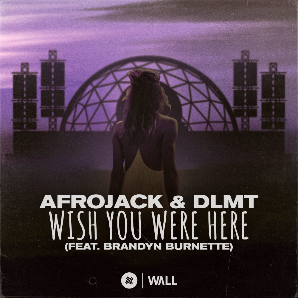 Wish You Were Here (feat. Brandyn Burnette) [Extended Mix] (Extended Mix)