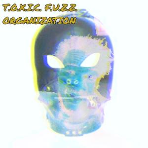 Listen to Toxic Fuzz Organization (Explicit) song with lyrics from Staryoung