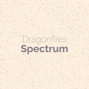 Various Artists的專輯Dragonflies Spectrum