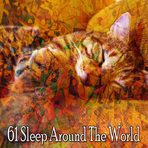 收听All Night Sleeping Songs to Help You Relax的The Night Wish歌词歌曲