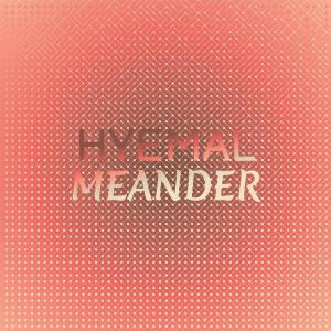 อัลบัม Hyemal Meander ศิลปิน Various