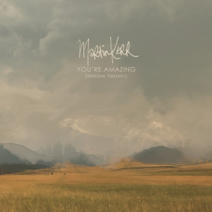 Album You're Amazing (Mellow Version) from 