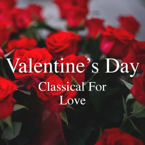 Dengarkan lagu Concerto for Violin and Orchestra No. 1, Hob 7a: III nyanyian Vilnius Chamber Orchestra dengan lirik