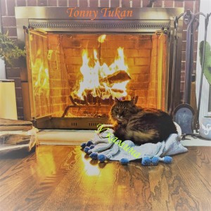 Listen to У камина song with lyrics from Tonny Tukan