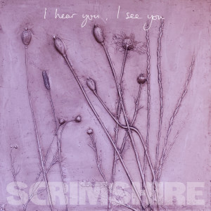 Scrimshire的专辑I Hear You, I See You