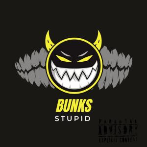 Album BUNKS (Explicit) from Dmenace