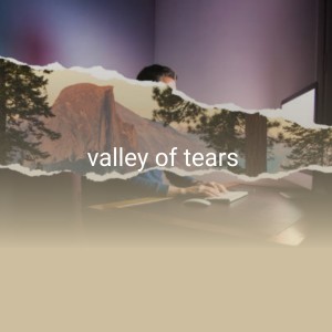 Listen to Put Your Hand In Mine song with lyrics from Billy Walker