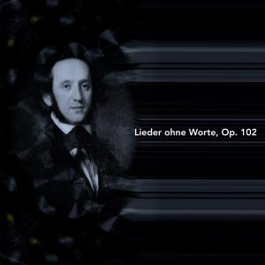 Al Goranski的专辑Lieder ohne Worte, Op. 102
