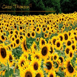 ดาวน์โหลดและฟังเพลง The Boy พร้อมเนื้อเพลงจาก Cassi Thomson