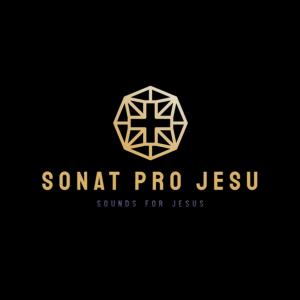 Listen to I Wonder As I Wander (instrumental) song with lyrics from Sonat Pro Jesu