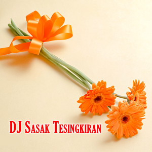 Album DJ Sasak Tesingkiran oleh Sandi Wisnu