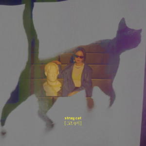 ดาวน์โหลดและฟังเพลง Stray Cat พร้อมเนื้อเพลงจาก BUDY