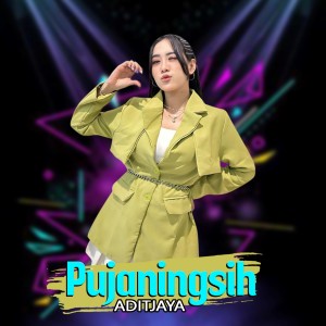Listen to Pujaningsih song with lyrics from Aditjaya