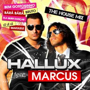 ดาวน์โหลดและฟังเพลง Ela Quer Dançar (Radio Edit) พร้อมเนื้อเพลงจาก Hallux
