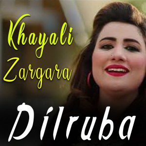ดาวน์โหลดและฟังเพลง Khayali Zargara พร้อมเนื้อเพลงจาก Dilruba