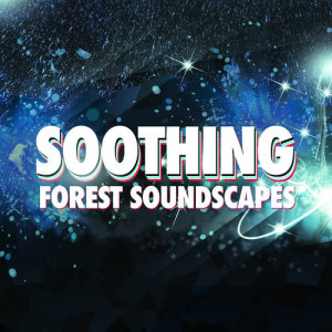 ดาวน์โหลดและฟังเพลง Bottom of the Garden พร้อมเนื้อเพลงจาก Outside Broadcast Recordings