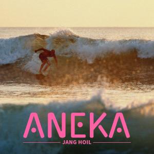 Dengarkan Aneka (Inst.) lagu dari Jang Hoil dengan lirik