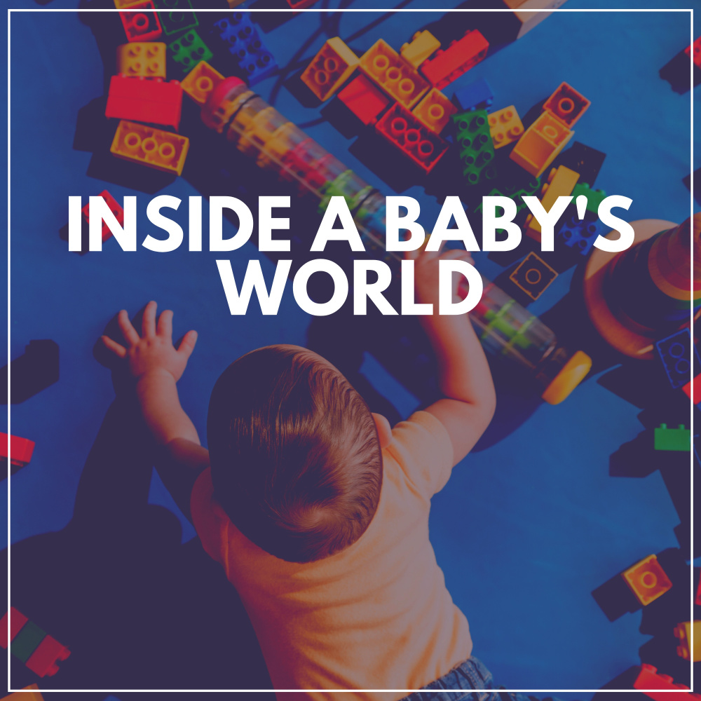 Inside a Baby's World, Pt. 20
