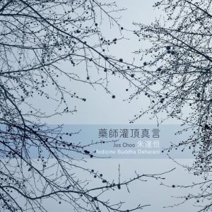 Listen to Medicine Buddha Daharani song with lyrics from 朱运恒