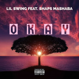 Album Okay (Explicit) from Lil Swing