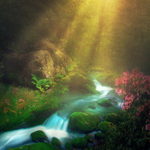 default playlist img