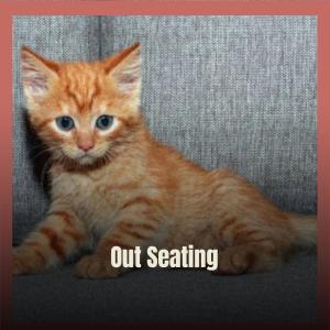 Album Out Seating from Various