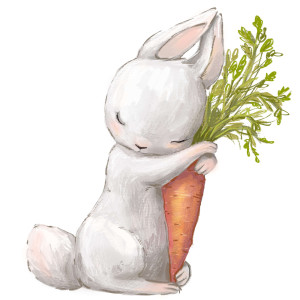 Rainforce77的专辑Carrot Rabbit