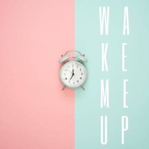 的專輯Wake Me Up