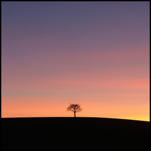 Listen to Daylight song with lyrics from RuKo