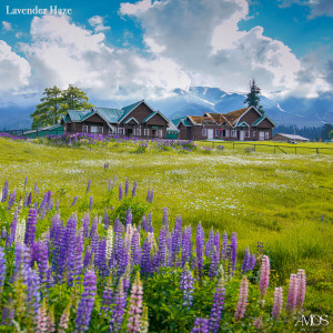 ดาวน์โหลดและฟังเพลง Lavender Haze พร้อมเนื้อเพลงจาก AMOS (아모스)