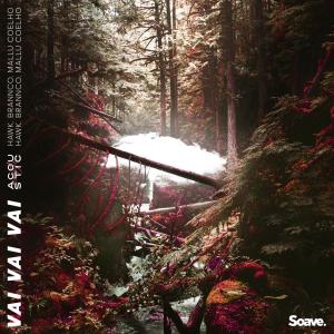 Listen to Vai Vai Vai (Acoustic Version) song with lyrics from HAWK