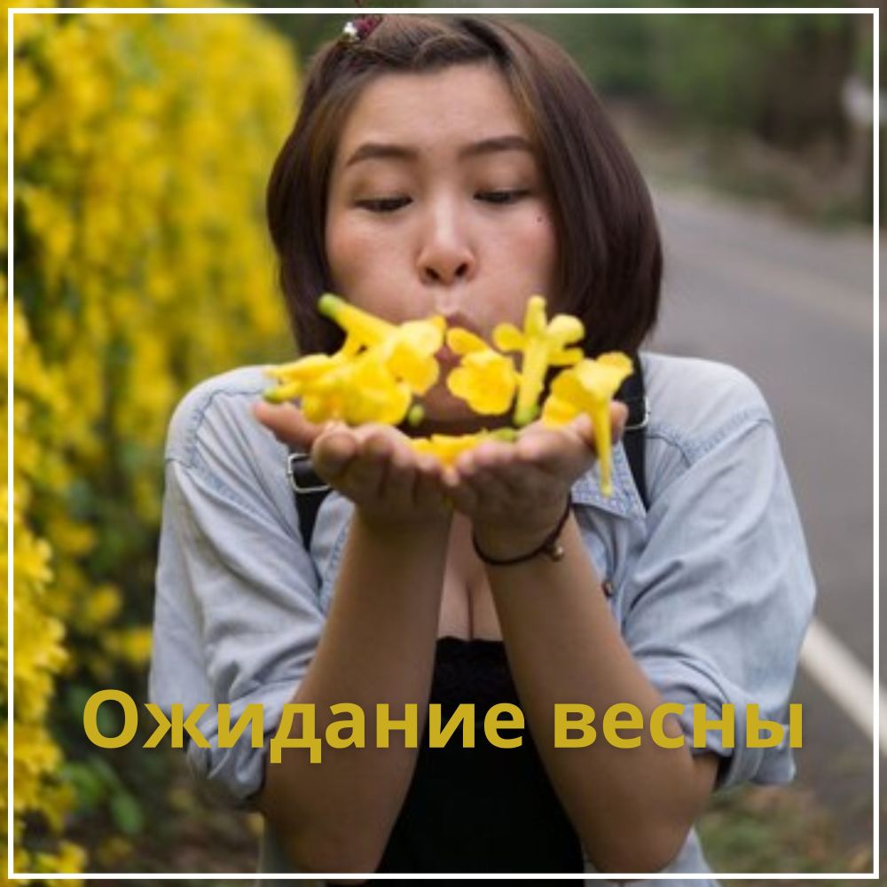 Утро на горе
