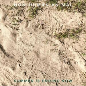 Dengarkan lagu Summer is ending now nyanyian Non-Human Animal dengan lirik