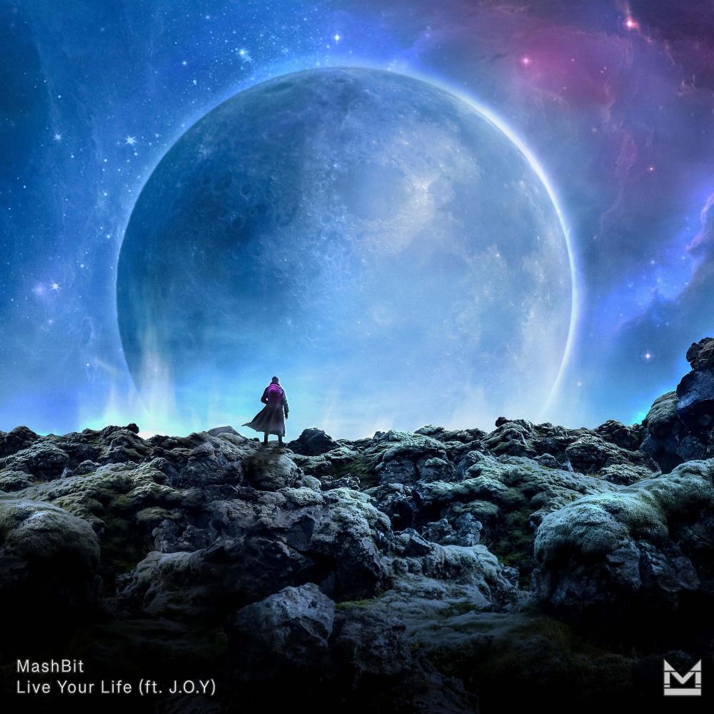 Live Your Life (feat. J.O.Y) (Live)