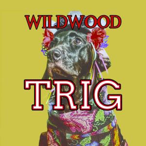 ดาวน์โหลดและฟังเพลง Trig - By the Time That You Read This I'll Be Talking With God พร้อมเนื้อเพลงจาก Wildwood