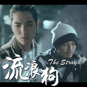 Album 流浪狗 The Stray oleh 黄明志