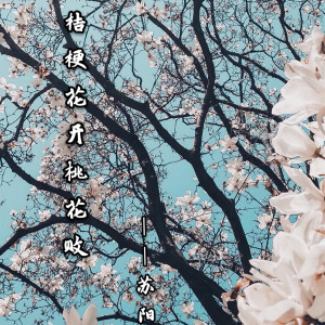 收听苏孟霖的桔梗花开桃花败歌词歌曲