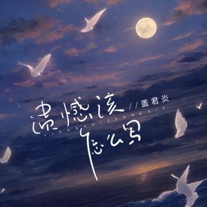Listen to 遗憾该怎么写 (伴奏) song with lyrics from 盖君炎
