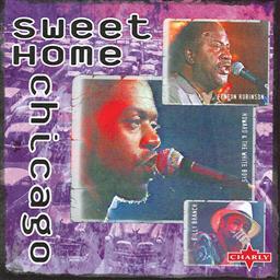 ดาวน์โหลดและฟังเพลง Just A Little Bit - Live พร้อมเนื้อเพลงจาก Fenton Robinson