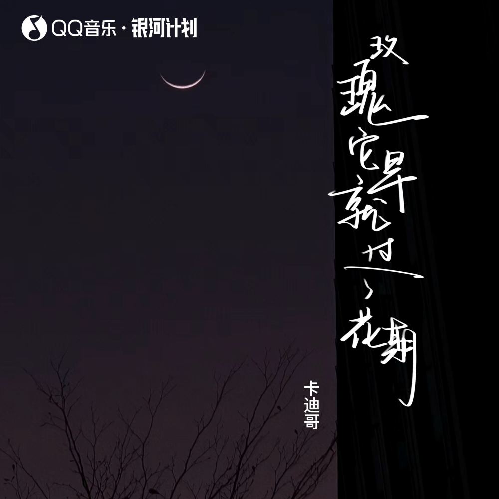 玫瑰它早就过了花期