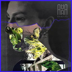 ดาวน์โหลดและฟังเพลง Here To Heal พร้อมเนื้อเพลงจาก Anna Sharifi