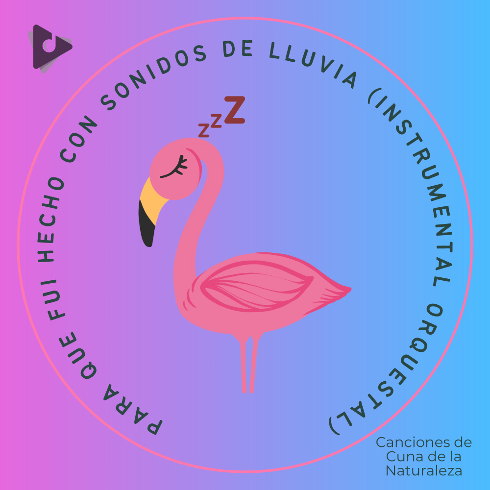 Para Que Fui Hecho Con Sonidos De Lluvia (Instrumental Orquestal)