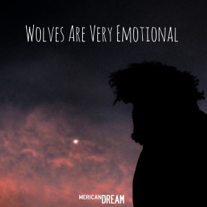 Niall的專輯Wolves Are Very Emotional
