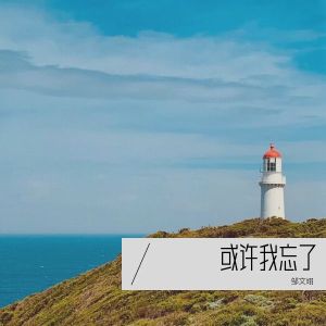 Listen to 或许我忘了 dj版 (完整版) song with lyrics from 翊先生