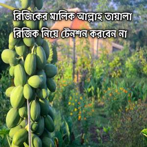 收聽Mubin TusHar的রিজিকের মালিক আল্লাহ তায়ালা | রিজিক নিয়ে টেনশন করবেন না (Riziker Malik Allah Rijik Nia Tension Korben Na)歌詞歌曲