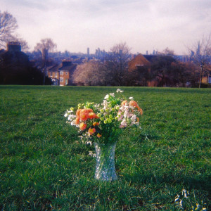 ดาวน์โหลดและฟังเพลง Bloom พร้อมเนื้อเพลงจาก Tom Everett